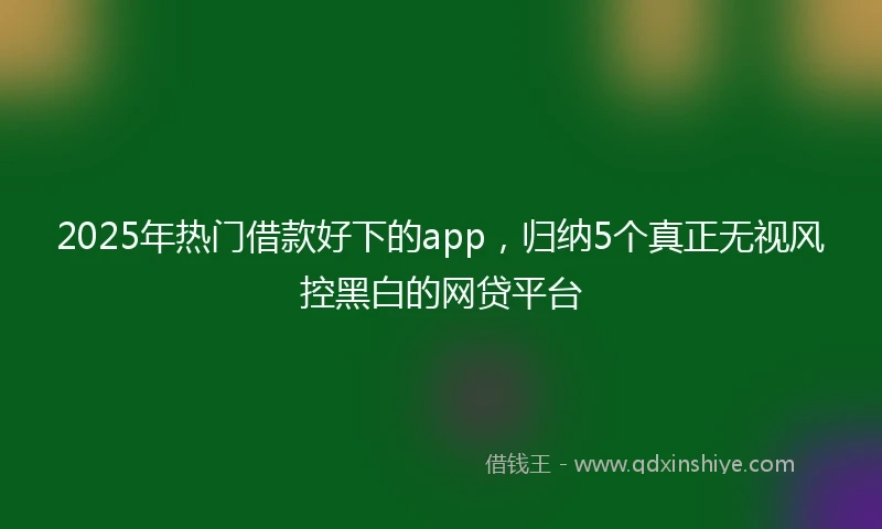 2025年热门借款好下的app，归纳5个真正无视风控黑白的网贷平台