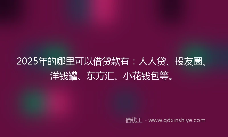 2025年的哪里可以借贷款有：人人贷、投友圈、洋钱罐、东方汇、小花钱包等。