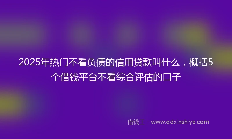 2025年热门不看负债的信用贷款叫什么,概括5个借钱平台不看综合评估的口子