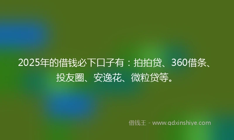 2025年的借钱必下口子有：拍拍贷、360借条、投友圈、安逸花、微粒贷等。