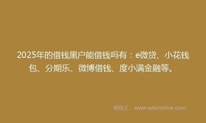 2025年的借钱黑户能借钱吗有：e微贷、小花钱包、分期乐、微博借钱、度小满金融等。