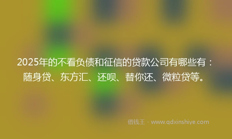 2025年的不看负债和征信的贷款公司有哪些有:随身贷、东方汇、还呗、替你还、微粒贷等。
