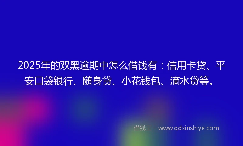 2025年的双黑逾期中怎么借钱有：信用卡贷、平安口袋银行、随身贷、小花钱包、滴水贷等。