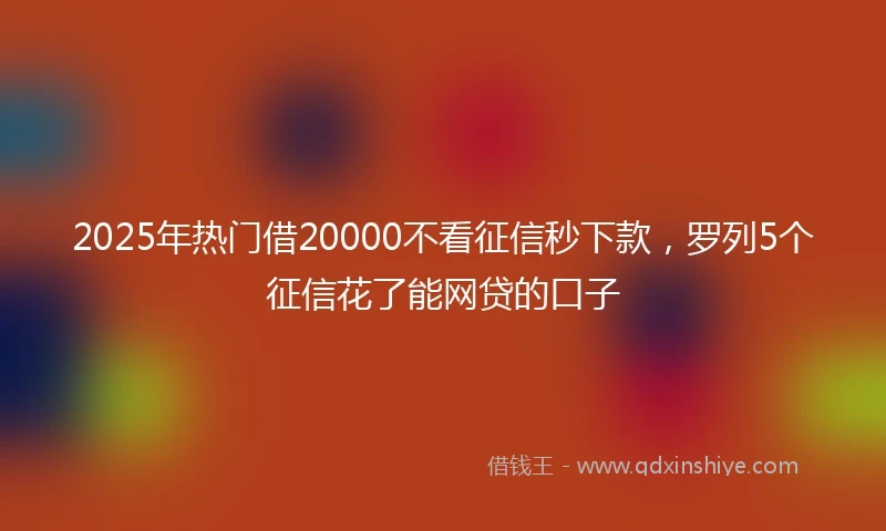 2025年热门借20000不看征信秒下款，罗列5个征信花了能网贷的口子