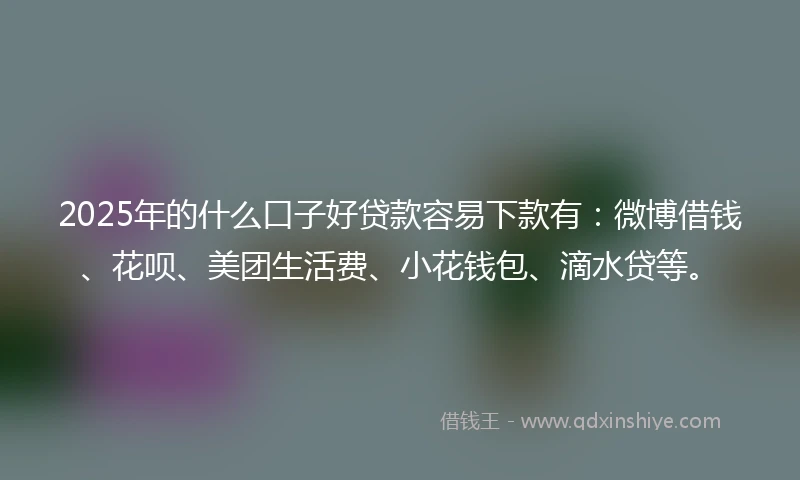 2025年的什么口子好贷款容易下款有：微博借钱、花呗、美团生活费、小花钱包、滴水贷等。