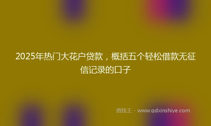 2025年热门大花户贷款，概括五个轻松借款无征信记录的口子