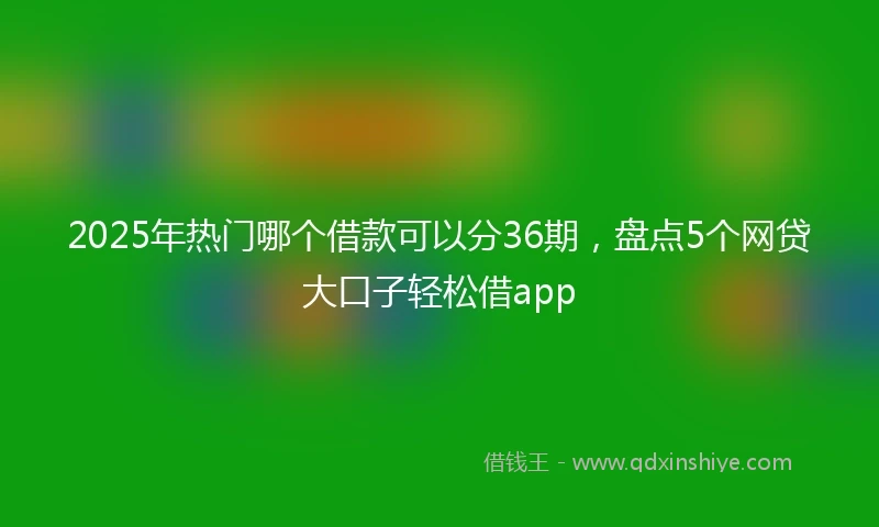 2025年热门哪个借款可以分36期，盘点5个网贷大口子轻松借app