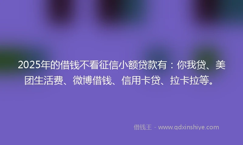 2025年的借钱不看征信小额贷款有：你我贷、美团生活费、微博借钱、信用卡贷、拉卡拉等。