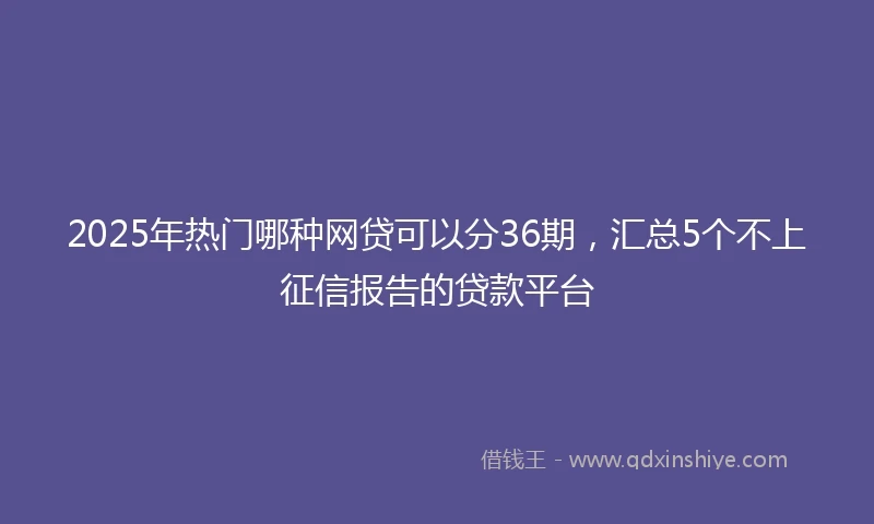 2025年热门哪种网贷可以分36期，汇总5个不上征信报告的贷款平台
