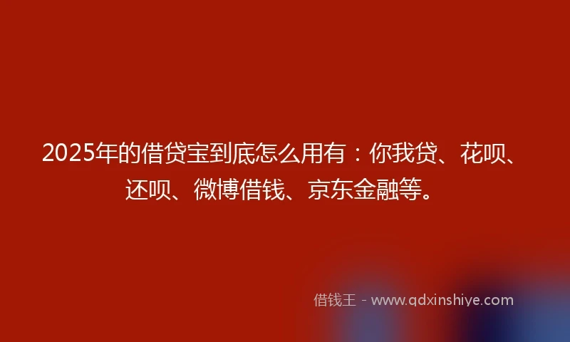 2025年的借贷宝到底怎么用有：你我贷、花呗、还呗、微博借钱、京东金融等。