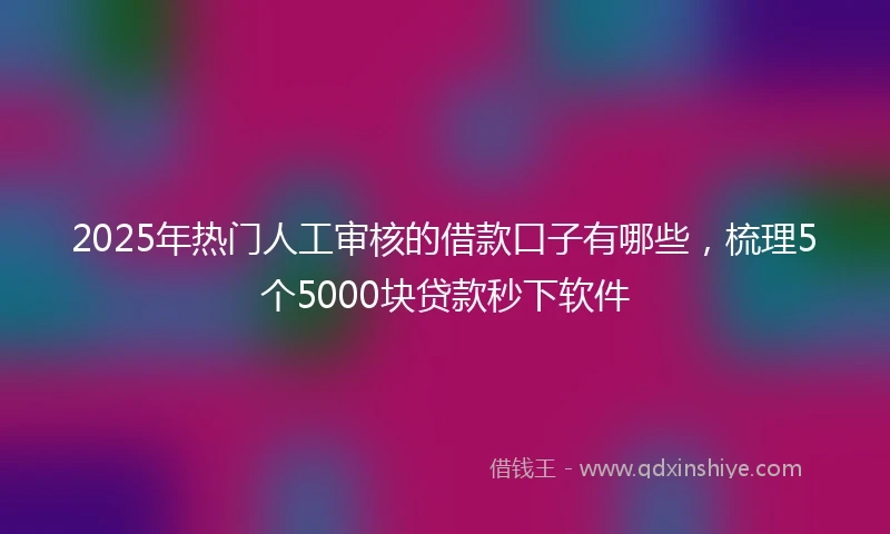 2025年热门人工审核的借款口子有哪些，梳理5个5000块贷款秒下软件