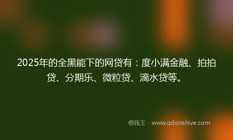 2025年的全黑能下的网贷有：度小满金融、拍拍贷、分期乐、微粒贷、滴水贷等。