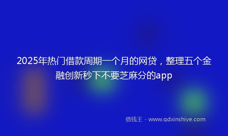 2025年热门借款周期一个月的网贷，整理五个金融创新秒下不要芝麻分的app