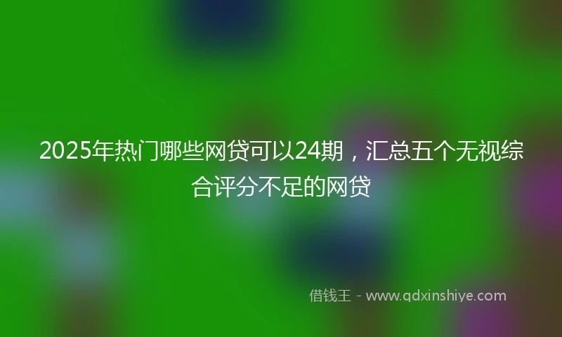 2025年热门哪些网贷可以24期，汇总五个无视综合评分不足的网贷