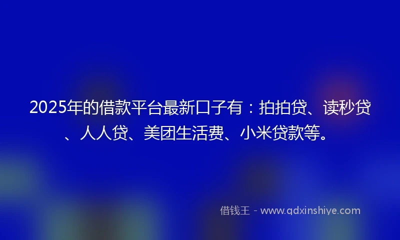 2025年的借款平台最新口子有：拍拍贷、读秒贷、人人贷、美团生活费、小米贷款等。