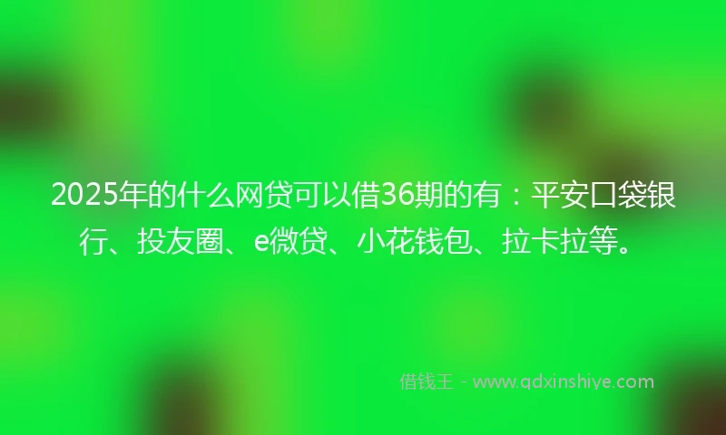 2025年的什么网贷可以借36期的有：平安口袋银行、投友圈、e微贷、小花钱包、拉卡拉等。