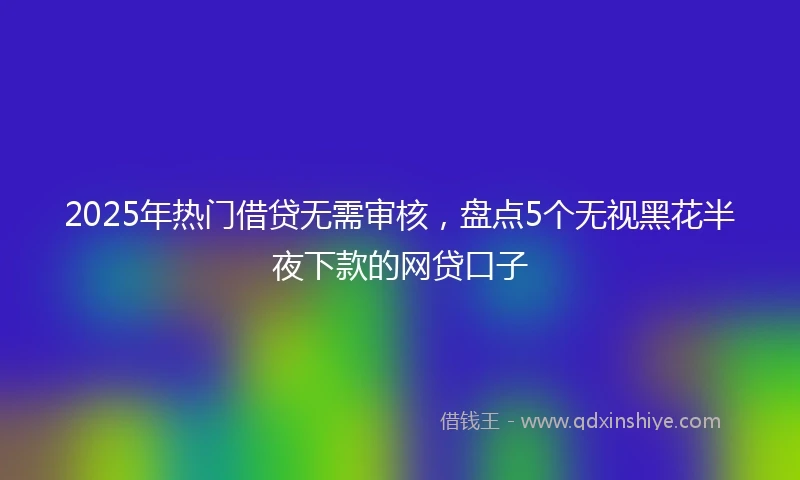 2025年热门借贷无需审核，盘点5个无视黑花半夜下款的网贷口子