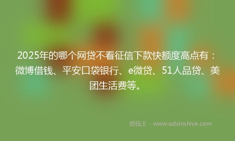 2025年的哪个网贷不看征信下款快额度高点有：微博借钱、平安口袋银行、e微贷、51人品贷、美团生活费等。