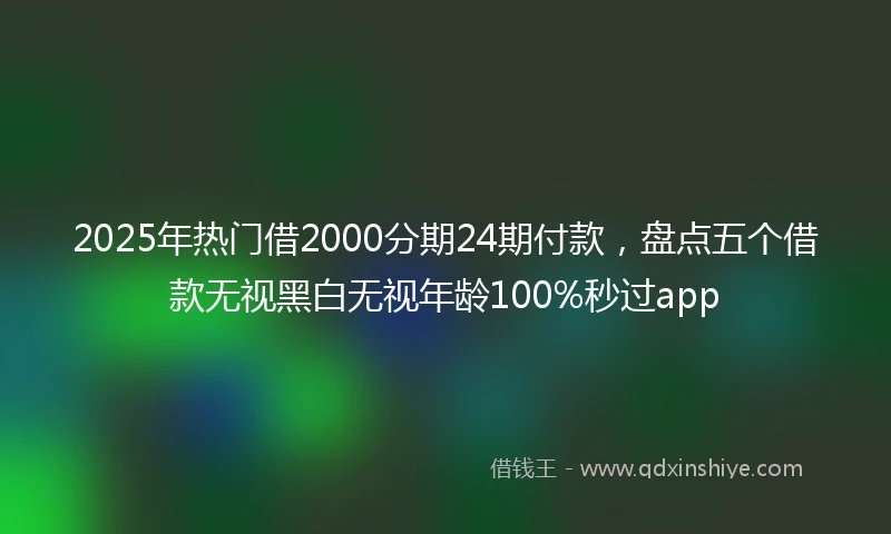 2025年热门借2000分期24期付款，盘点五个借款无视黑白无视年龄100%秒过app