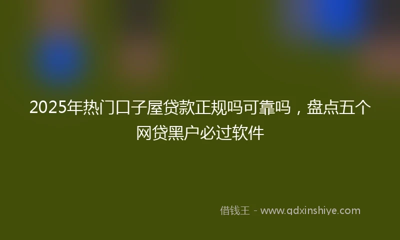 2025年热门口子屋贷款正规吗可靠吗，盘点五个网贷黑户必过软件