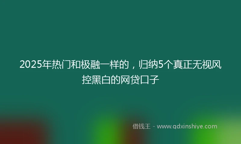 2025年热门和极融一样的，归纳5个真正无视风控黑白的网贷口子
