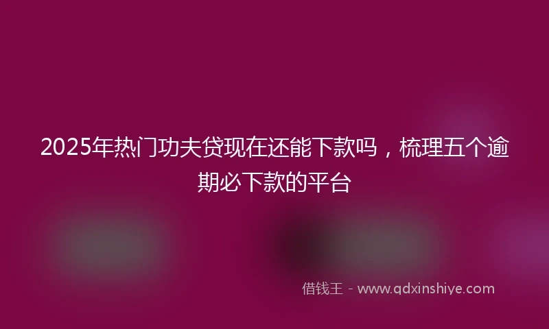 2025年热门功夫贷现在还能下款吗，梳理五个逾期必下款的平台