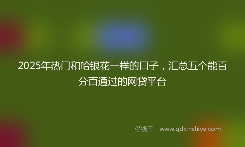 2025年热门和哈银花一样的口子，汇总五个能百分百通过的网贷平台