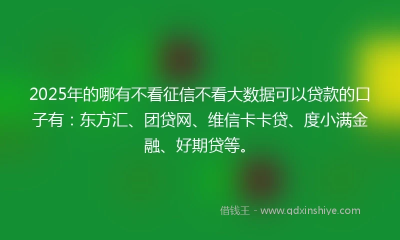 2025年的哪有不看征信不看大数据可以贷款的口子有：东方汇、团贷网、维信卡卡贷、度小满金融、好期贷等。