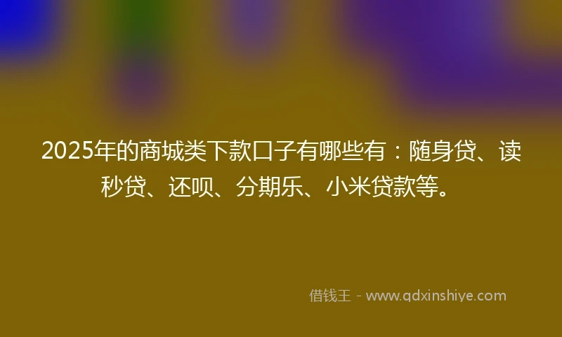 2025年的商城类下款口子有哪些有：随身贷、读秒贷、还呗、分期乐、小米贷款等。