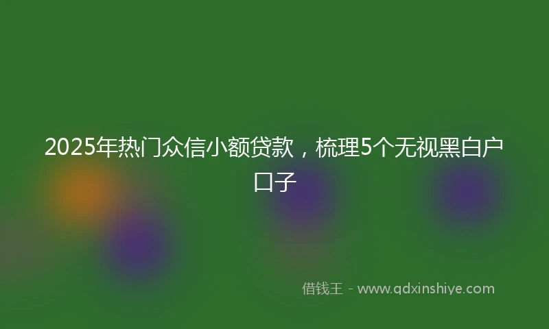 2025年热门众信小额贷款，梳理5个无视黑白户口子