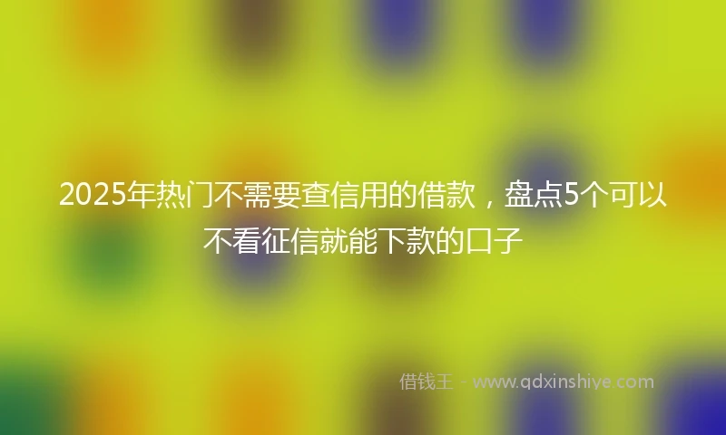 2025年热门不需要查信用的借款,盘点5个可以不看征信就能下款的口子