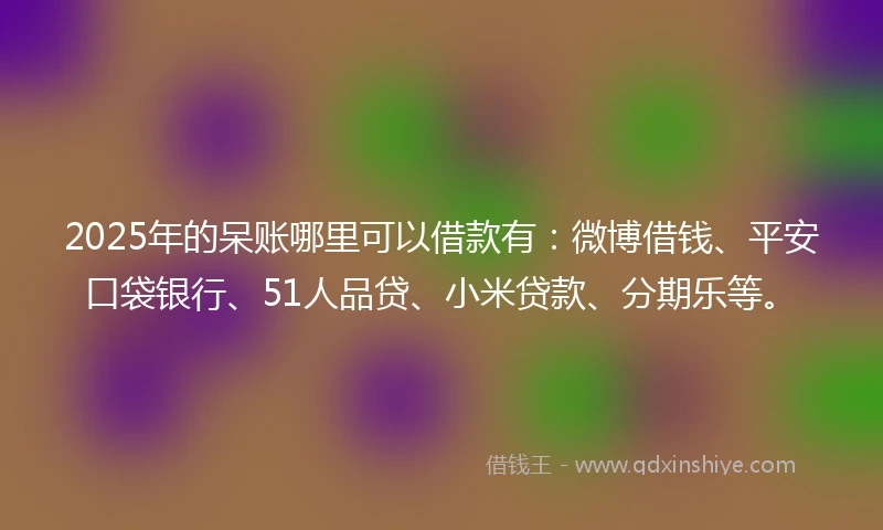 2025年的呆账哪里可以借款有：微博借钱、平安口袋银行、51人品贷、小米贷款、分期乐等。