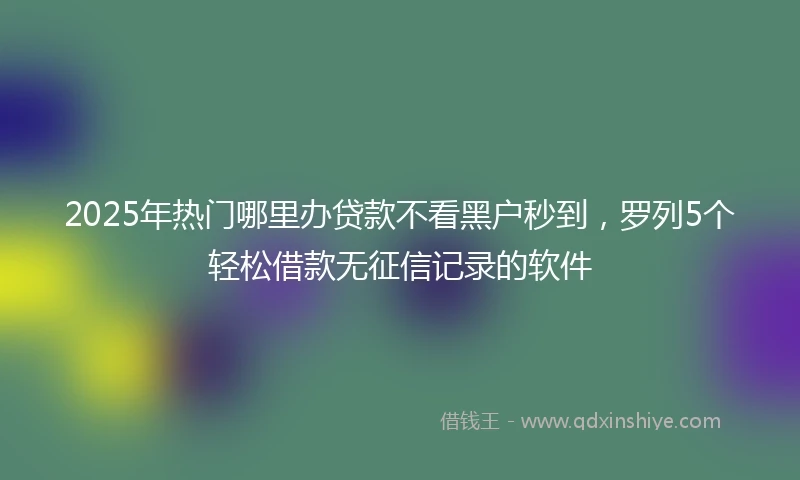 2025年热门哪里办贷款不看黑户秒到，罗列5个轻松借款无征信记录的软件