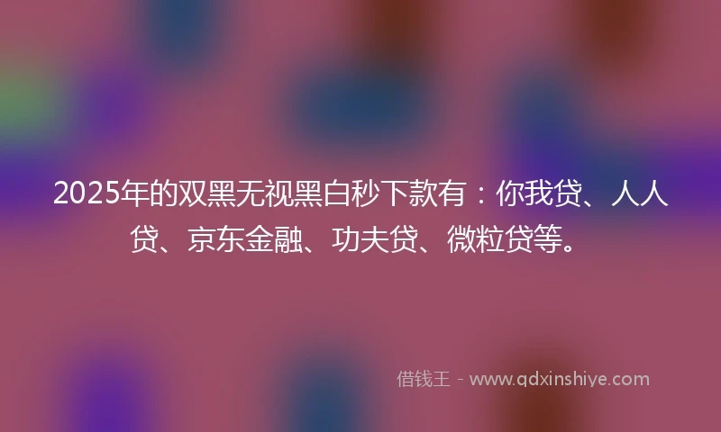 2025年的双黑无视黑白秒下款有：你我贷、人人贷、京东金融、功夫贷、微粒贷等。