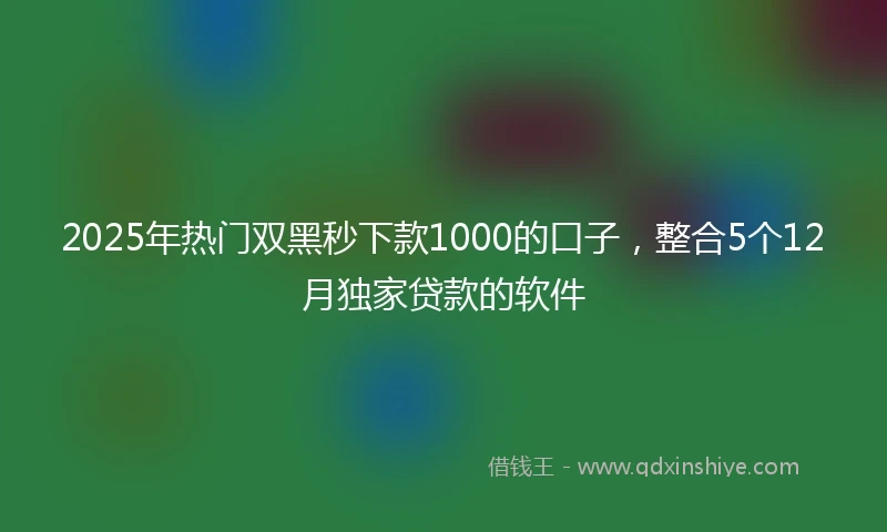 2025年热门双黑秒下款1000的口子，整合5个12月独家贷款的软件