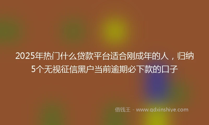 2025年热门什么贷款平台适合刚成年的人,归纳5个无视征信黑户当前逾期必下款的口子