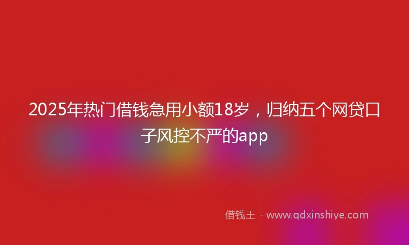 2025年热门借钱急用小额18岁，归纳五个网贷口子风控不严的app