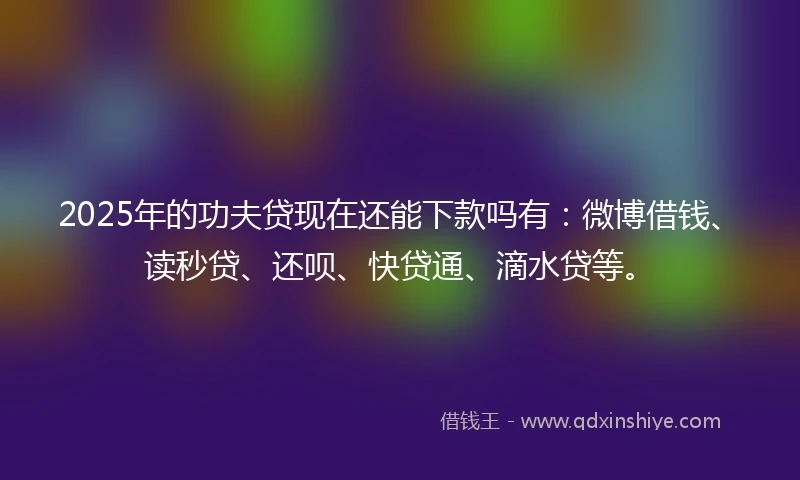 2025年的功夫贷现在还能下款吗有：微博借钱、读秒贷、还呗、快贷通、滴水贷等。