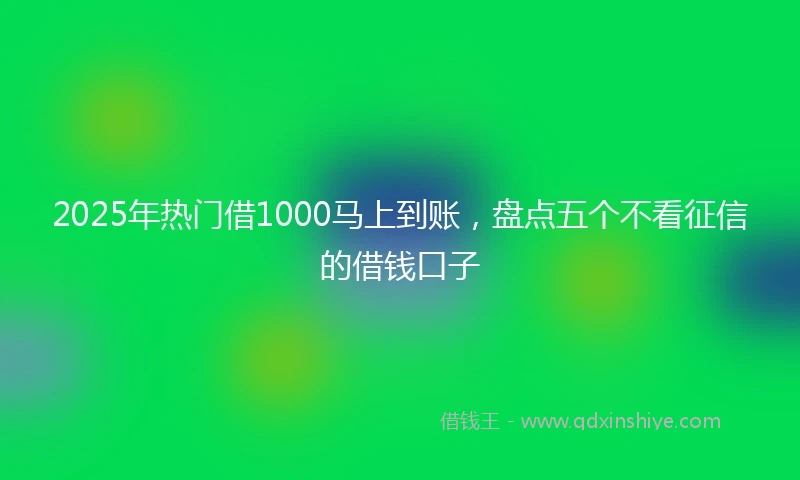 2025年热门借1000马上到账，盘点五个不看征信的借钱口子