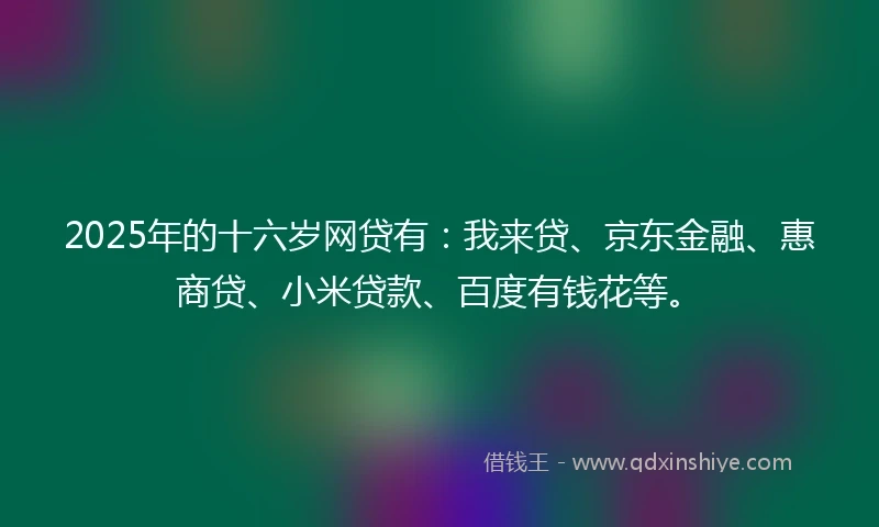 2025年的十六岁网贷有：我来贷、京东金融、惠商贷、小米贷款、百度有钱花等。