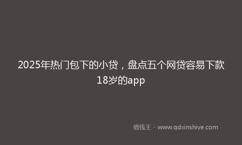 2025年热门包下的小贷，盘点五个网贷容易下款18岁的app