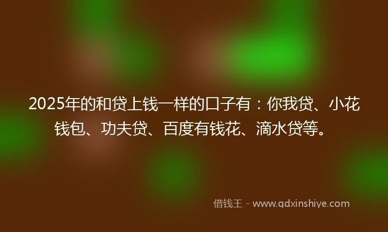 2025年的和贷上钱一样的口子有：你我贷、小花钱包、功夫贷、百度有钱花、滴水贷等。