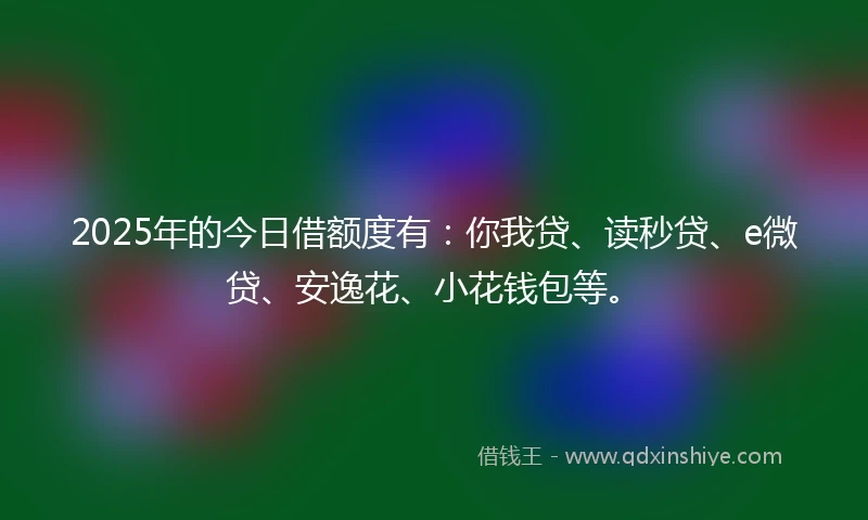2025年的今日借额度有:你我贷、读秒贷、e微贷、安逸花、小花钱包等。