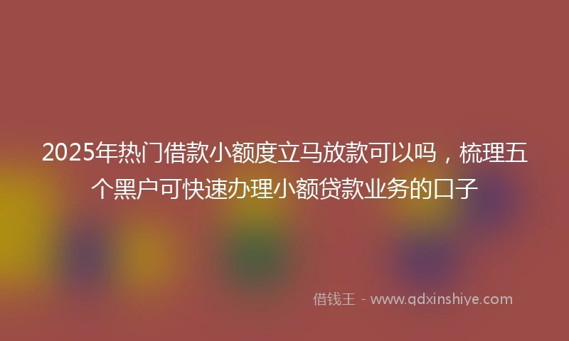 2025年热门借款小额度立马放款可以吗，梳理五个黑户可快速办理小额贷款业务的口子