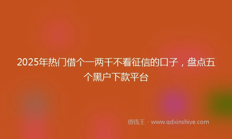2025年热门借个一两千不看征信的口子，盘点五个黑户下款平台