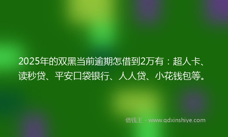 2025年的双黑当前逾期怎借到2万有：超人卡、读秒贷、平安口袋银行、人人贷、小花钱包等。
