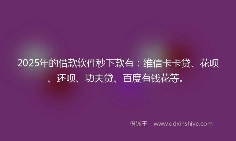 2025年的借款软件秒下款有：维信卡卡贷、花呗、还呗、功夫贷、百度有钱花等。
