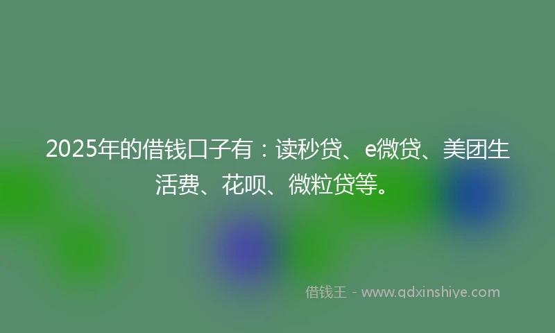 2025年的借钱口子有：读秒贷、e微贷、美团生活费、花呗、微粒贷等。