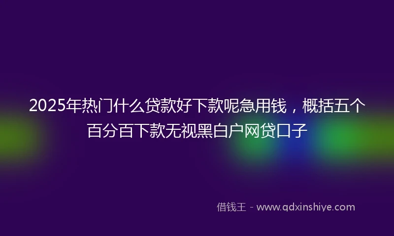 2025年热门什么贷款好下款呢急用钱，概括五个百分百下款无视黑白户网贷口子