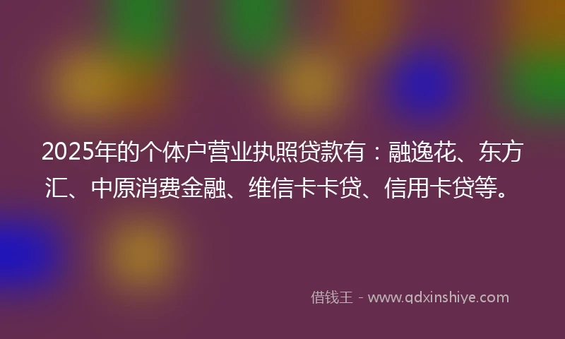 2025年的个体户营业执照贷款有：融逸花、东方汇、中原消费金融、维信卡卡贷、信用卡贷等。